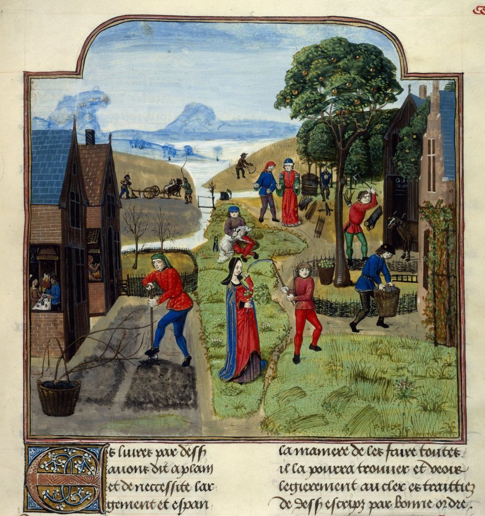 Trabajos del campo en una miniatura medieval